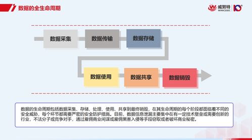 數(shù)據(jù)處理安全無憂 從零基礎(chǔ)到精通的全生命周期防護(hù)秘籍