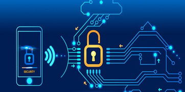 海峽網(wǎng)教育 通往卓越軟件開發(fā)的橋梁與人才培養(yǎng)基地