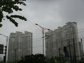 光明城市 上海光明城市配套實(shí)景圖,樣板間,效果圖,戶(hù)型圖 上海網(wǎng)易房產(chǎn)