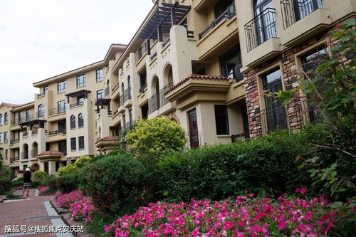 最新動態(tài) 樓盤信息 房價 戶型 周邊配套,交通地圖及動態(tài)