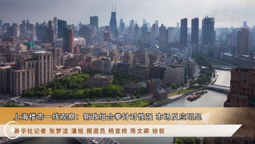 上海樓市一線觀察 新政組合拳針對(duì)性強(qiáng) 市場反應(yīng)明顯
